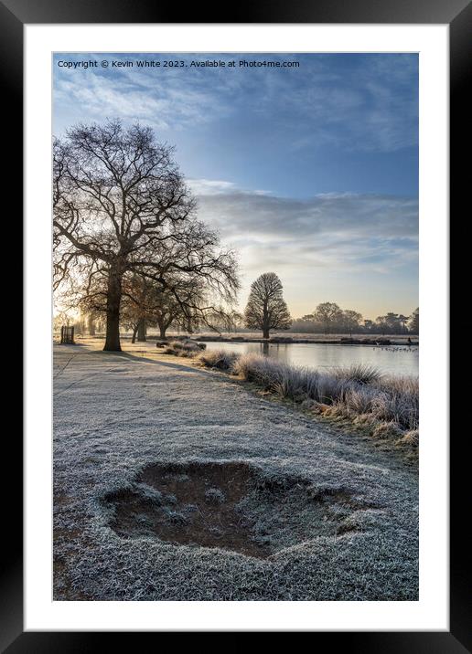 The beauty of frost in the  morning sun Framed Mounted Print by Kevin White