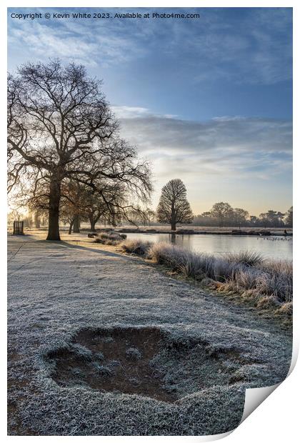 The beauty of frost in the  morning sun Print by Kevin White