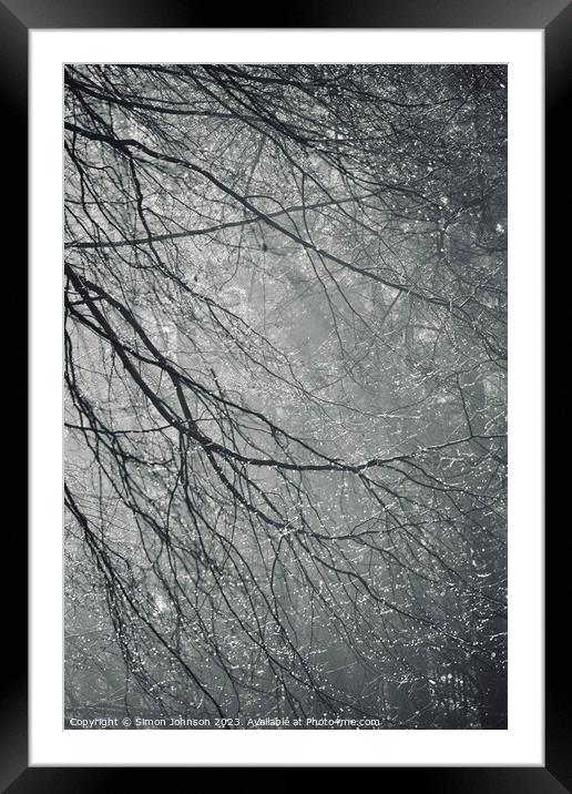 Woodland dew Framed Mounted Print by Simon Johnson