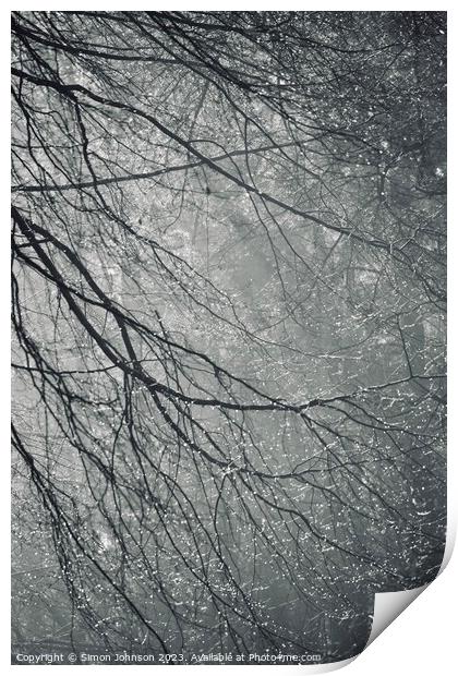Woodland dew Print by Simon Johnson