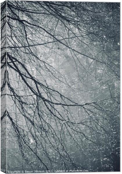 Woodland dew  Canvas Print by Simon Johnson