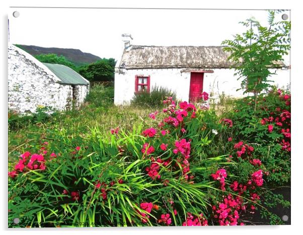 Abandoned Irish Cottage Acrylic by Stephanie Moore