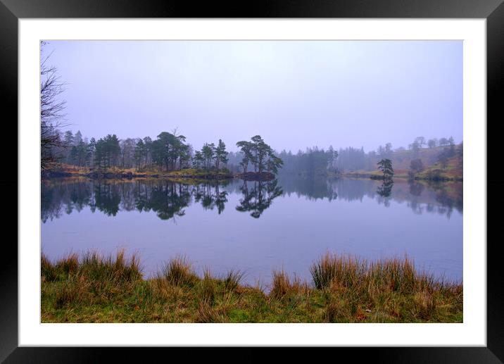 Serenity in Tarn Hows Framed Mounted Print by Steve Smith