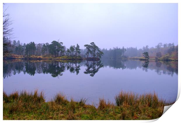 Serenity in Tarn Hows Print by Steve Smith