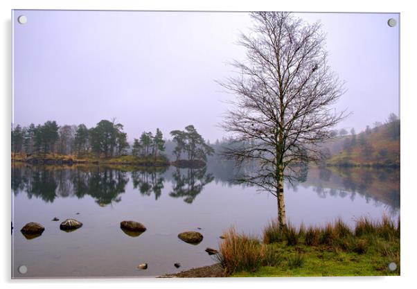 Tarn Hows Lake District Acrylic by Steve Smith