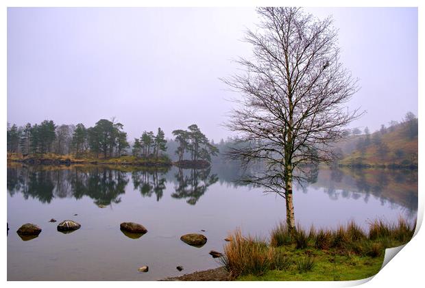 Tarn Hows Lake District Print by Steve Smith