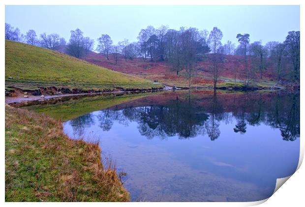 Serenity of Tarn Hows Print by Steve Smith