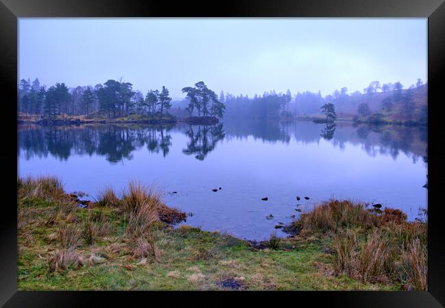 Tarn Hows Lake District Framed Print by Steve Smith