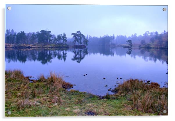 Tarn Hows Lake District Acrylic by Steve Smith