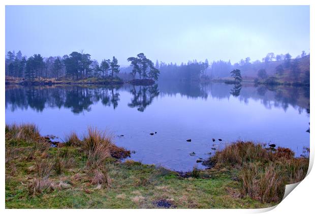 Tarn Hows Lake District Print by Steve Smith
