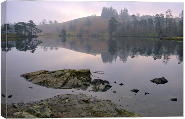 Tarn Hows Lake District Canvas Print by Steve Smith