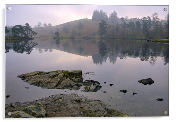 Tarn Hows Lake District Acrylic by Steve Smith