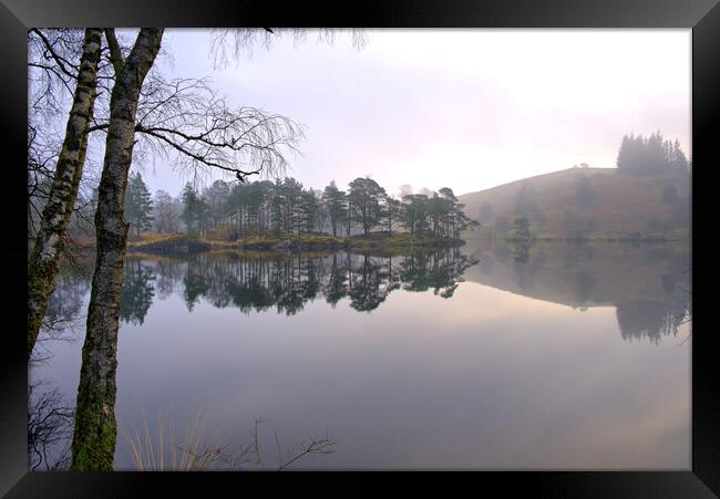 Tarn Hows Lake District Framed Print by Steve Smith