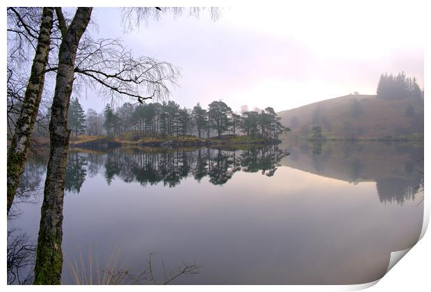 Tarn Hows Lake District Print by Steve Smith
