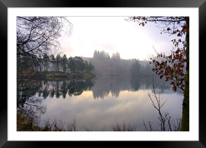 Tarn Hows Lake District Framed Mounted Print by Steve Smith