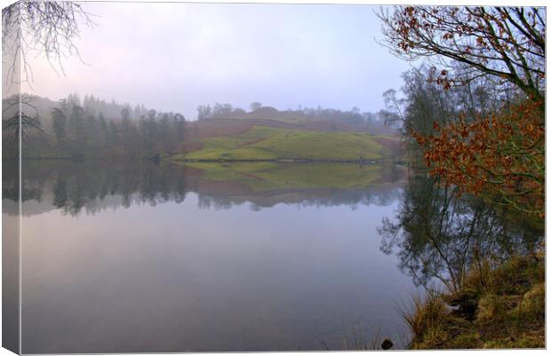 Tarn Hows Lake District Canvas Print by Steve Smith