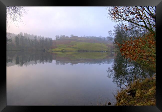 Tarn Hows Lake District Framed Print by Steve Smith