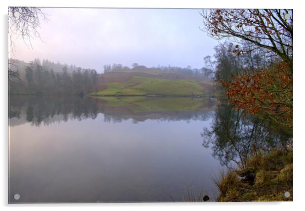 Tarn Hows Lake District Acrylic by Steve Smith