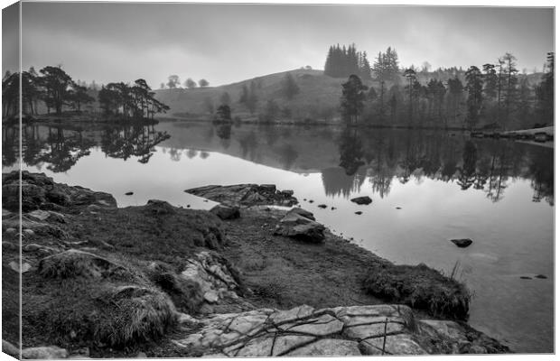 Tarn Hows Black and White Canvas Print by Tim Hill