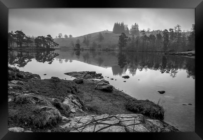 Tarn Hows Black and White Framed Print by Tim Hill