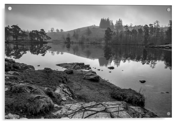 Tarn Hows Black and White Acrylic by Tim Hill