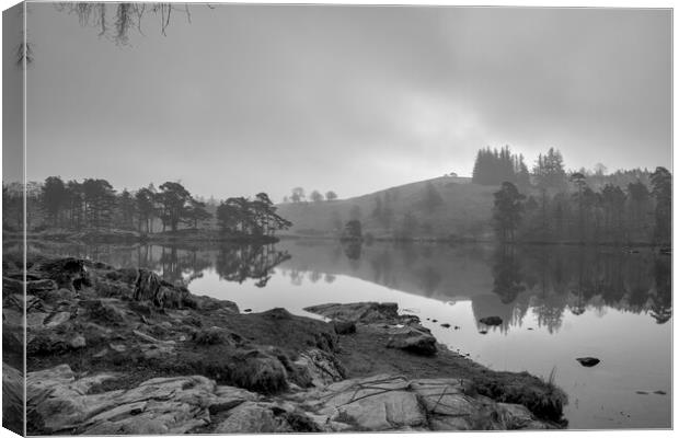 Tranquil Beauty at Tarn Hows Canvas Print by Tim Hill