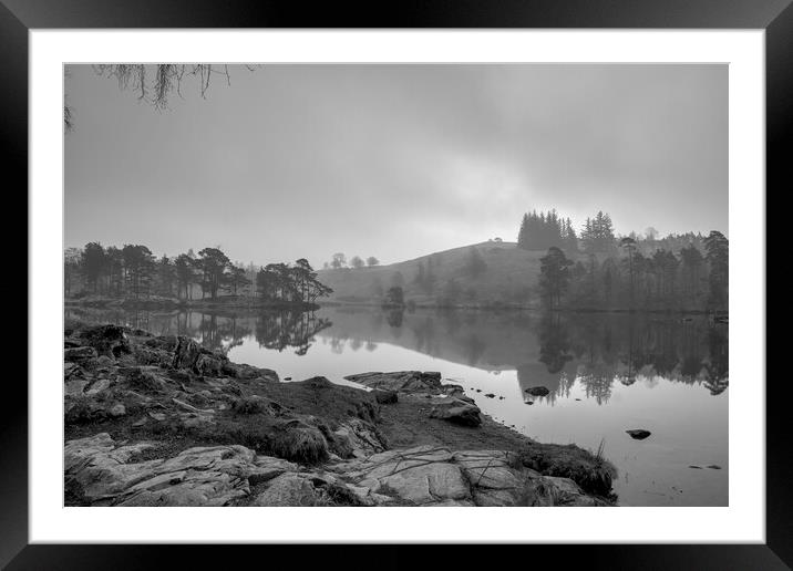 Tranquil Beauty at Tarn Hows Framed Mounted Print by Tim Hill