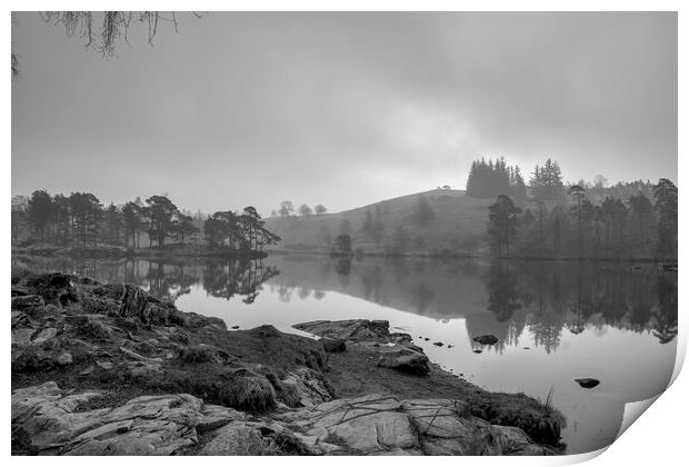 Tranquil Beauty at Tarn Hows Print by Tim Hill
