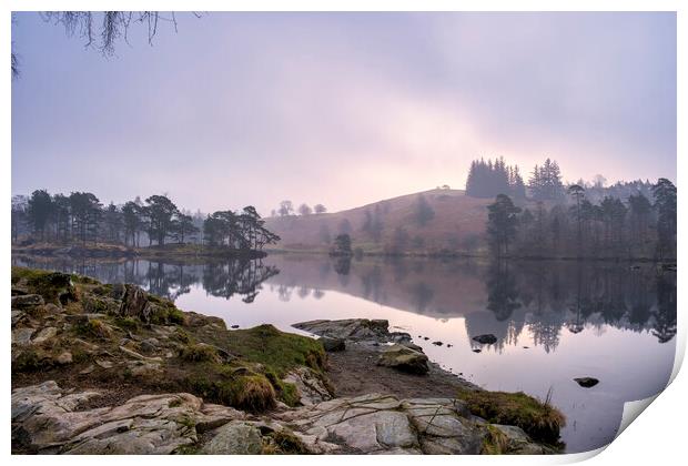 Tarn Hows Landscape Print by Tim Hill
