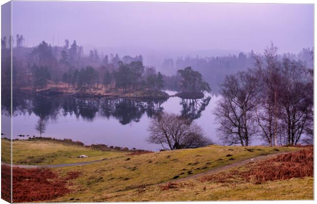 Misty Tarn Hows Canvas Print by Tim Hill