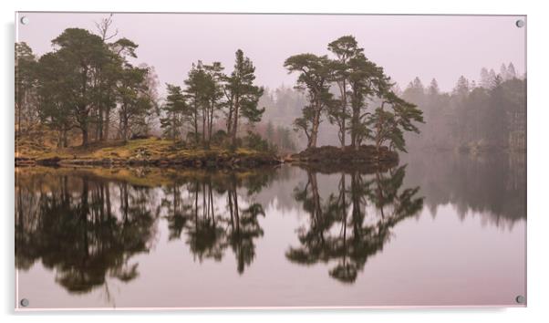 Tarn Hows Reflections Acrylic by Tim Hill