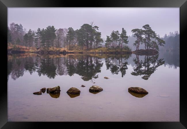 Serene Reflections of Misty Tarn Hows Framed Print by Tim Hill
