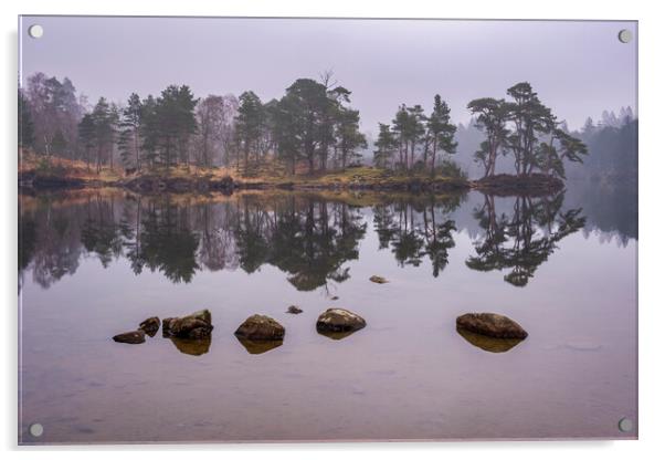 Serene Reflections of Misty Tarn Hows Acrylic by Tim Hill
