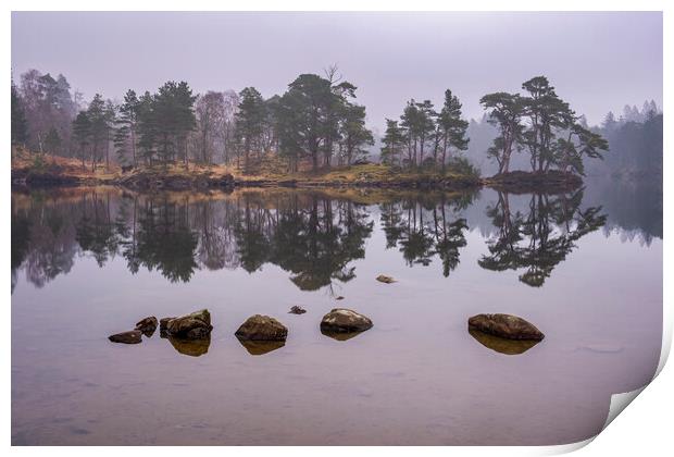 Serene Reflections of Misty Tarn Hows Print by Tim Hill