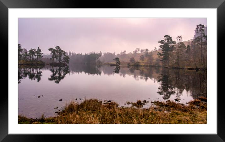 Tarn Hows Landscape Framed Mounted Print by Tim Hill