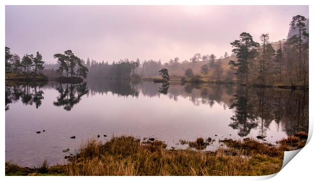 Tarn Hows Landscape Print by Tim Hill