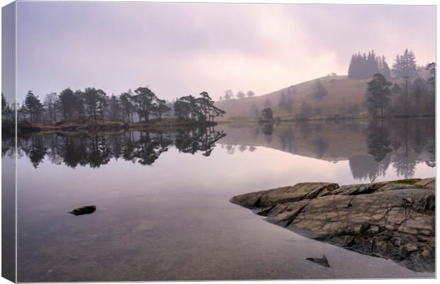Daybreak at Tarn Hows Canvas Print by Tim Hill