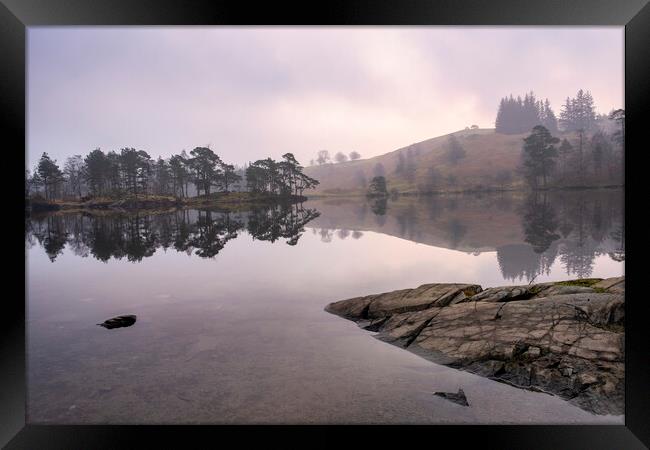 Daybreak at Tarn Hows Framed Print by Tim Hill