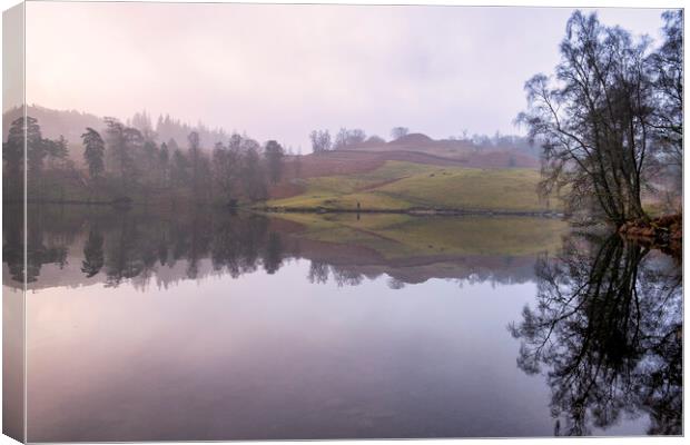 Tarn Hows Waterside Canvas Print by Tim Hill