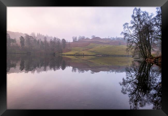 Tarn Hows Waterside Framed Print by Tim Hill