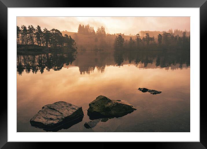 Serene Reflections at Tarn Hows Framed Mounted Print by Tim Hill