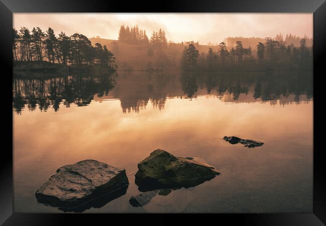 Serene Reflections at Tarn Hows Framed Print by Tim Hill