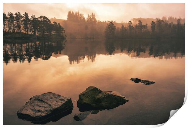 Serene Reflections at Tarn Hows Print by Tim Hill