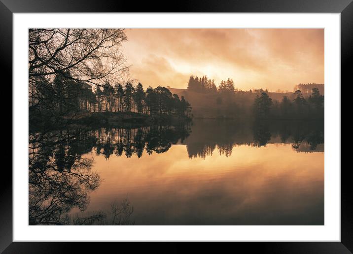 Tarn Hows Sunrise Framed Mounted Print by Tim Hill