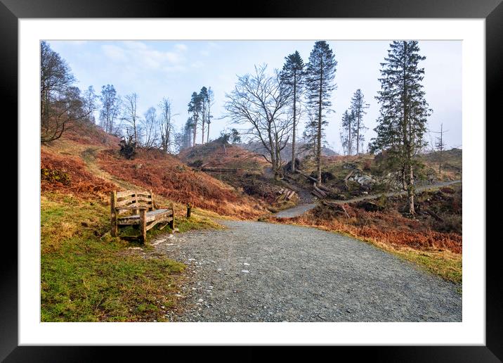 Tarn Hows Bench Framed Mounted Print by Tim Hill