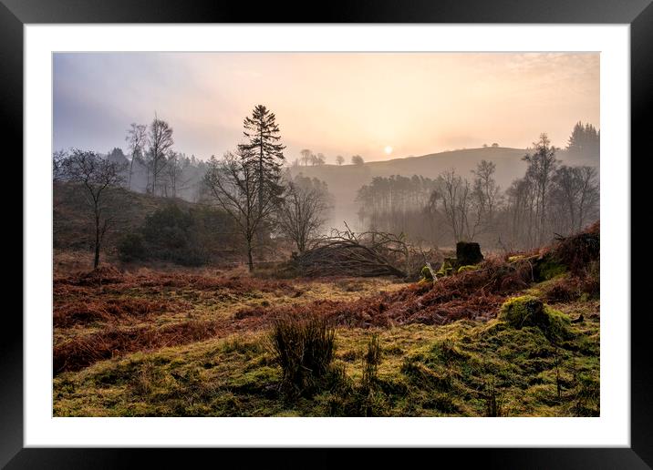Misty Sunrise Over Tarn Hows Framed Mounted Print by Tim Hill