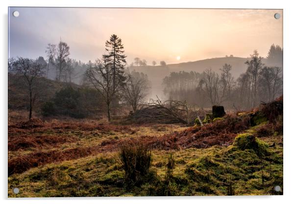 Misty Sunrise Over Tarn Hows Acrylic by Tim Hill