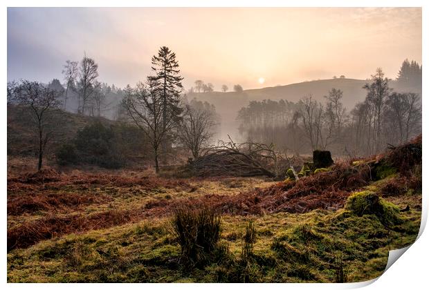Misty Sunrise Over Tarn Hows Print by Tim Hill