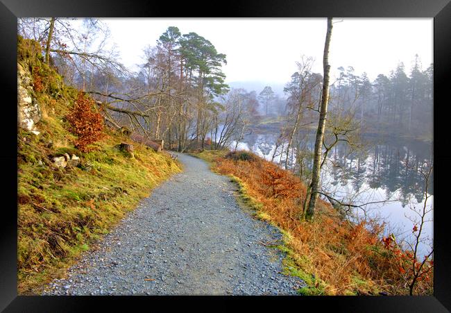 Tarn Hows Lake District Framed Print by Steve Smith