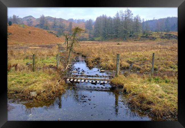 Tarn Hows Lake District Framed Print by Steve Smith